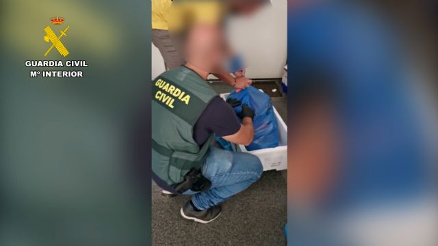 La Guardia Civil desmantela un grupo criminal dedicado al robo de atún rojo - 4, Foto 4