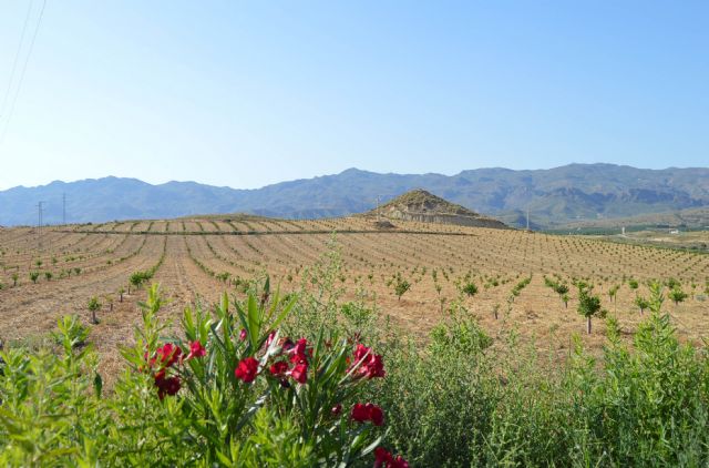 Unión de Uniones ve poco realista y restrictivo para los agricultores y ganaderos el acuerdo político europeo sobre la propuesta de Reglamento de Restauración de la Naturaleza - 1, Foto 1