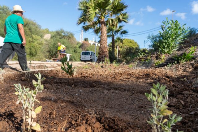 El Ayuntamiento activará en enero el principal lote del nuevo contrato de jardines tras su desbloqueo judicial - 1, Foto 1