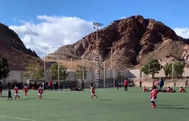 El Ayuntamiento renovará el césped del Campo de Fútbol Alfonso Embarre de San Cristóbal - 1, Foto 1