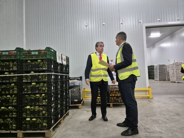 El Ayuntamiento y MercaMurcia envían 12 toneladas de alimentos frescos a los afectados por la Dana de Valencia - 1, Foto 1