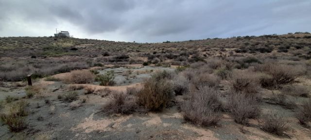 El PSOE de Lorca apuesta por un plan de conservación en el yacimiento argárico de El Rincón en Almendricos - 1, Foto 1