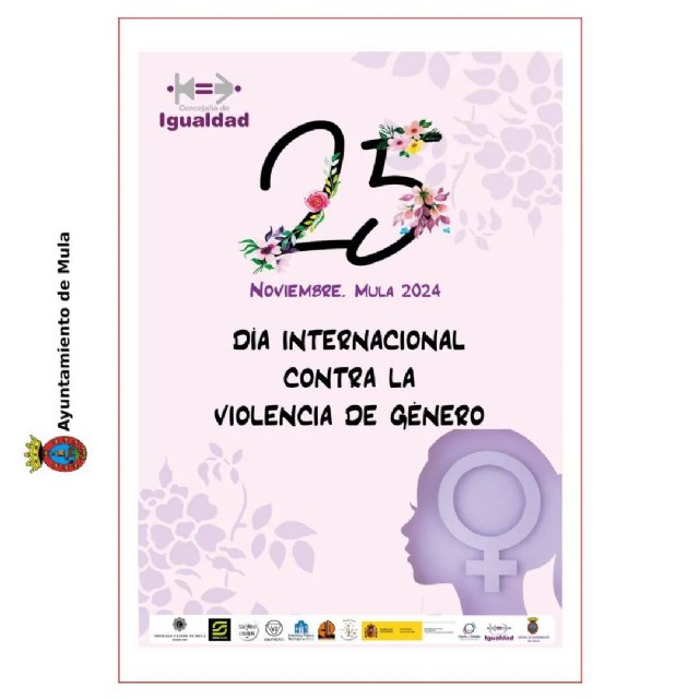 Presentación la programación de actividades por el 25N, Día Internacional contra la Violencia de Género - 1, Foto 1