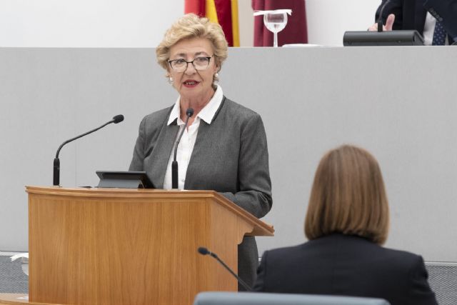 La Asamblea aprueba la Ley conjunta de PP y Cs que aumenta el 'dinero en el bolsillo' de las personas con discapacidad usuarias de viviendas tuteladas - 1, Foto 1