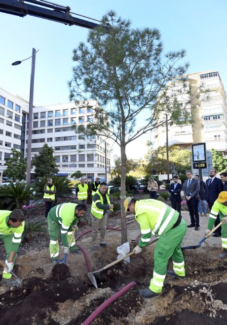 Murcia rinde homenaje al 'Apóstol del Árbol' con la plantación de un pino carrasco en la entrada a la ciudad - 1, Foto 1