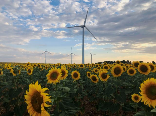 Iberdrola repotenciará sus primeros cuatro parques eólicos en España y elevará su producción un 30% - 1, Foto 1