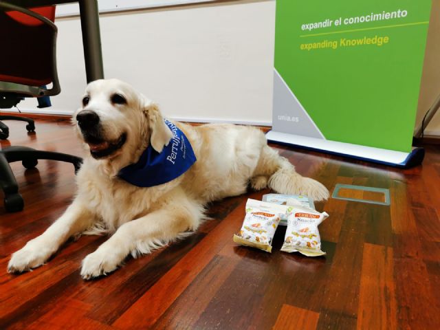 Snacks elaborados en Alicante para el adiestramiento de perros de terapia - 3, Foto 3