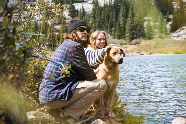 Blue Monday: 4 consejos Purina que te ayudarán a superar los días grises con tu mascota - 1, Foto 1