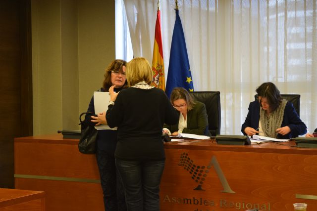 El PP propone a la Comisión especial de Discapacidad escuchar las actuaciones del Gobierno Regional en esta materia - 1, Foto 1