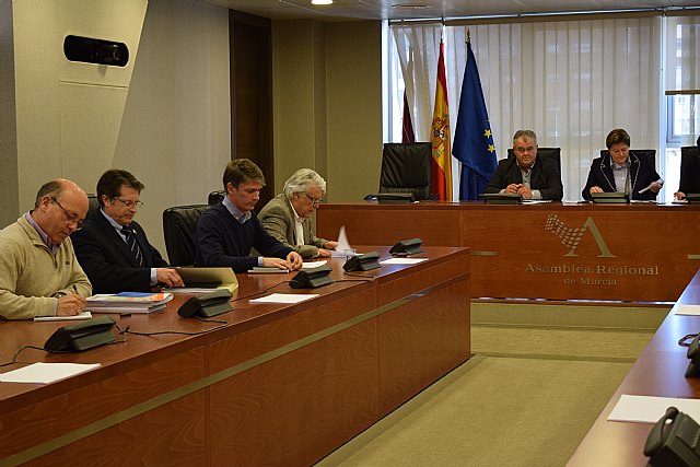 La Asamblea pide a la eliminación de todos los pasos a nivel sin barreras existentes en la Región - 1, Foto 1