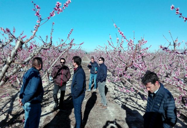 Comienzan los ensayos en frutales de hueso de productos y sistemas para combatir los efectos del cambio climático - 1, Foto 1