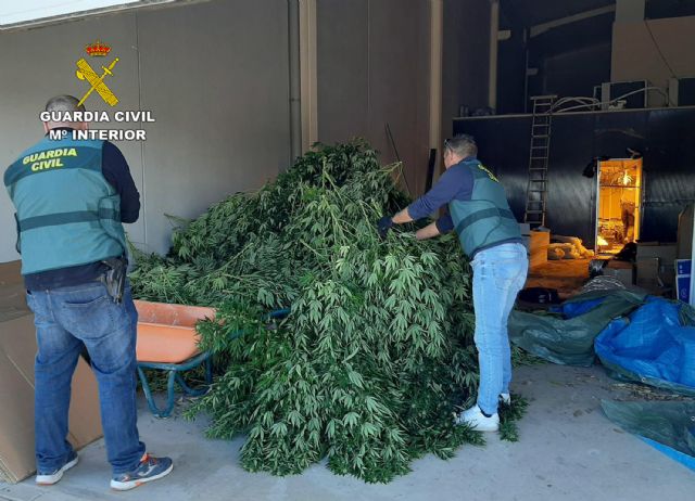 La Guardia Civil desmantela dos invernaderos clandestinos de marihuana - 2, Foto 2