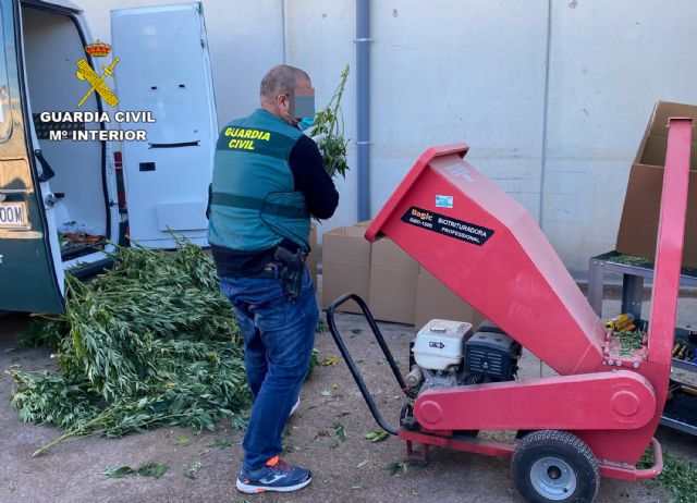 La Guardia Civil desmantela dos invernaderos clandestinos de marihuana - 5, Foto 5