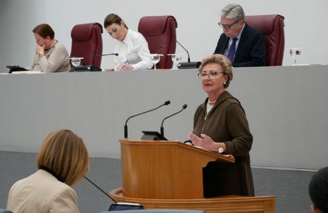 El PP respalda la Ley de Familias Monoparentales por responsabilidad y convicción en el apoyo a la institución familiar - 1, Foto 1