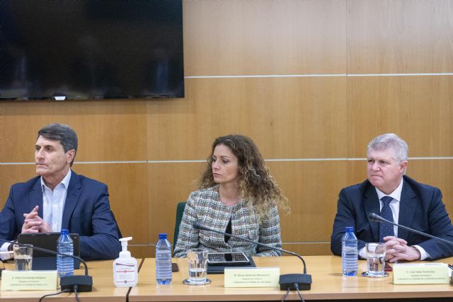 Vélez asiste en Madrid a la reunión de coordinación convocada por Grande-Marlaska para reforzar las políticas de Interior - 1, Foto 1