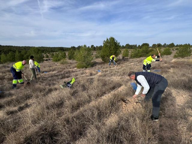 Aguas de Lorca realiza la reforestación de su Bosque Corporativo con la plantación de 500 nuevos ejemplares - 1, Foto 1