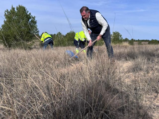 Aguas de Lorca realiza la reforestación de su Bosque Corporativo con la plantación de 500 nuevos ejemplares - 4, Foto 4