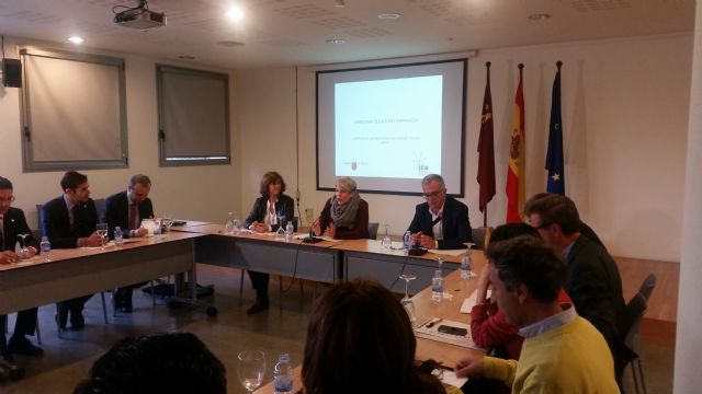 Noelia Arroyo presenta a los colegios oficiales de la Región de Murcia los incentivos fiscales al deporte y la cultura - 1, Foto 1