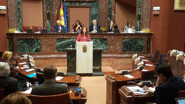 PP y Ciudadanos tumban una iniciativa de Podemos para mejorar la Atención Primaria - 1, Foto 1