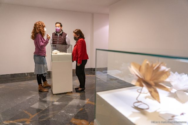 Las semillas, protagonistas de la exposición de Belén Orta en el Museo del Teatro Romano - 1, Foto 1