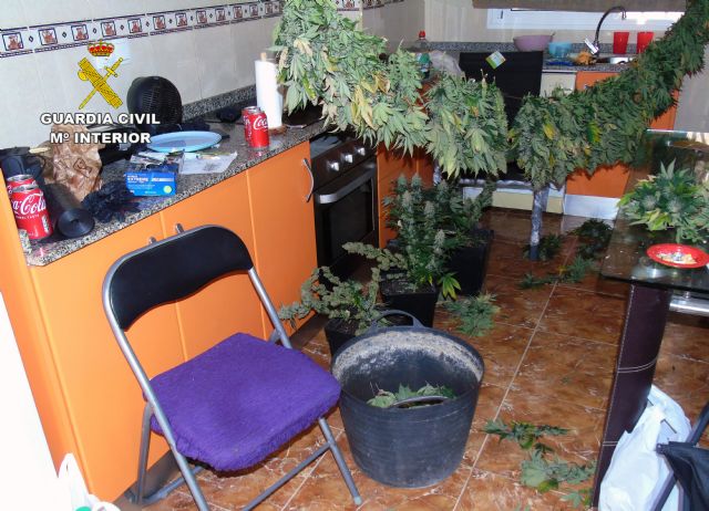 La Guardia Civil sorprende a siete personas manipulando cannabis en un chalé de El Esparragal-Murcia - 2, Foto 2