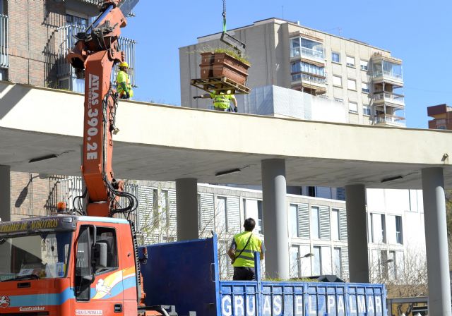 El Alcalde Serrano anuncia que las obras de ajardinamiento de la pérgola de la Plaza de la Universidad y de la creación de un huerto-jardín de moreras junto al Malecón comenzarán este mes - 3, Foto 3