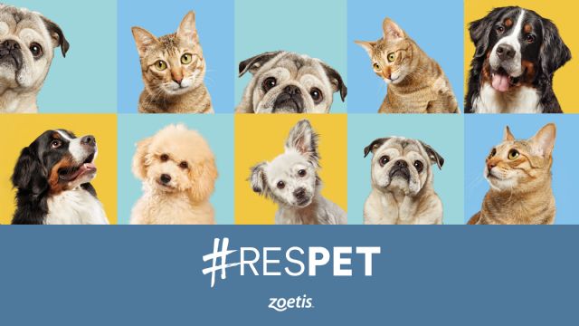 Anita, Jako, Lokyta y Dorm: historias reales e inspiradoras reflejo de #RESPET - 1, Foto 1