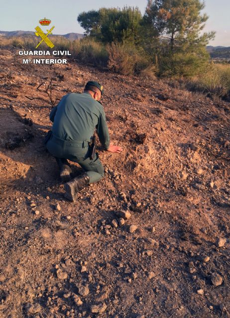 La Guardia Civil investiga a una persona  por originar un incendio forestal en Barinas-Abanilla - 2, Foto 2