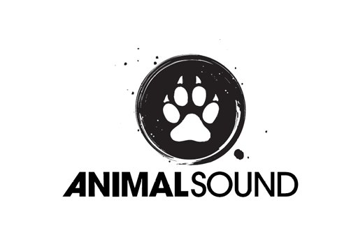 El festival ´Animal Sound´ aúna este año la música sinfónica de la Orquesta de Jóvenes de la Región con la electrónica - 1, Foto 1