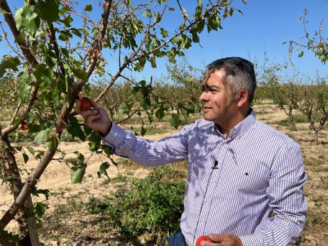 Cano: Sánchez castiga continuamente al sector primario mientras López Miras sigue comprometido con ayudas a agricultores y ganaderos - 1, Foto 1