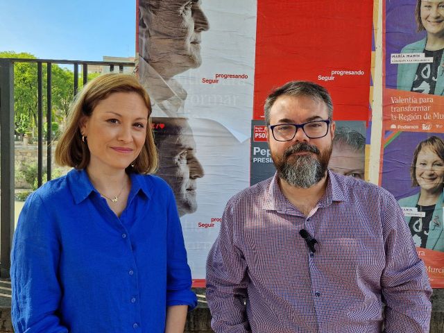 Elvira Medina: El PSOE tapa los carteles de Podemos e IU-Verdes porque tiene miedo a una izquierda valiente en la Glorieta - 1, Foto 1