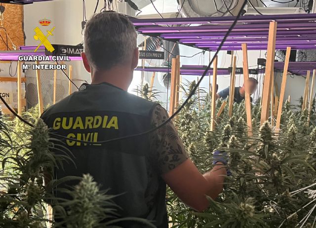 La Guardia Civil desarticula en Murcia y Torre Pacheco otro grupo delictivo que cultivaba cannabis - 1, Foto 1