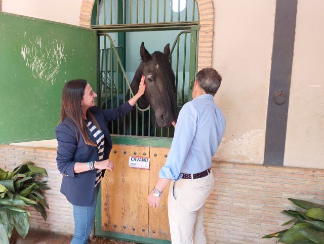 Los sementales del Centro Militar de cría caballar de Écija regresan a Lorca - 1, Foto 1