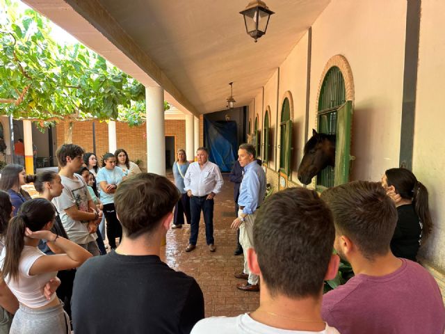 El CIFEA de Lorca acoge, un año más, la parada de sementales, que estarán en el centro hasta el 11 de junio - 2, Foto 2