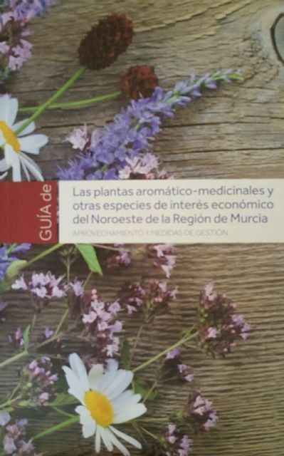 Agricultura edita una guía sobre plantas aromáticas-medicinales del noroeste regional - 2, Foto 2