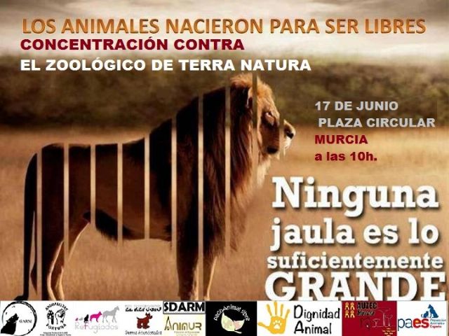 Colectivos y asociaciones animalistas convocan una concentración contra las actividades de Terra Natura en la Plaza Circular - 1, Foto 1