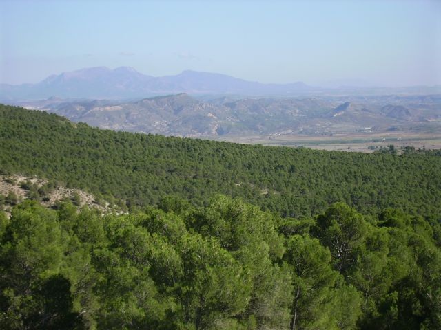 El PSOE pedirá en el Pleno de junio un Plan de Emergencias contra incendios forestales para el municipio - 1, Foto 1