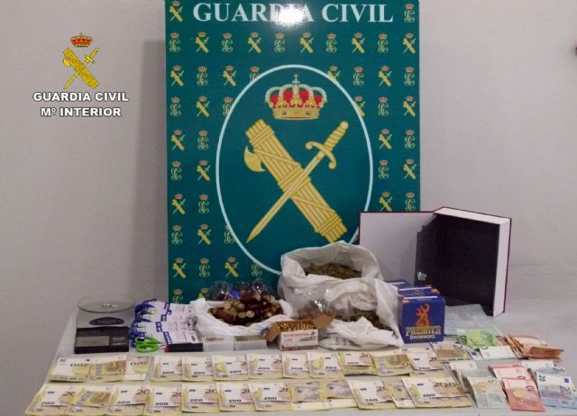 La Guardia Civil desarticula en Murcia un grupo delictivo dedicado al cultivo ilícito de marihuana - 2, Foto 2