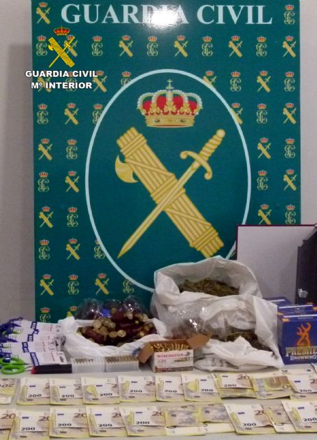 La Guardia Civil desarticula en Murcia un grupo delictivo dedicado al cultivo ilícito de marihuana - 3, Foto 3