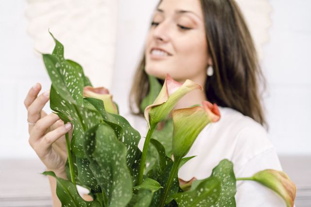 Como cuidar las plantas en verano para que sobrevivan al calor - 2, Foto 2