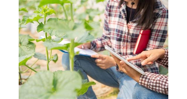 Agricultura, Pesca y Alimentación abre la convocatoria de ayudas para la formación de profesionales del medio rural por casi 2 millones de euros - 1, Foto 1