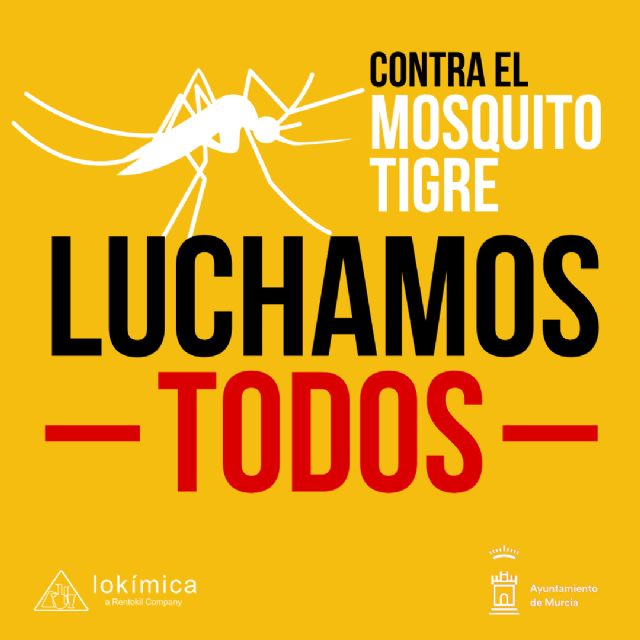 Murcia refuerza los tratamientos contra los mosquitos tras las intensas lluvias - 1, Foto 1