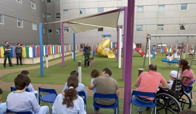 La Guardia Civil realiza una exhibición de medios en el Hospital Materno Infantil de la Arrixaca - 3, Foto 3