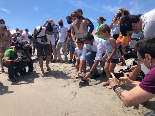 La Comunidad devuelve al mar diez ejemplares de tortuga boba de los nacidos el pasado verano en playas de La Manga - 1, Foto 1