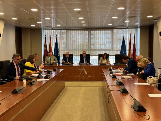 El alcalde de Torre Pacheco, comparece en la Asamblea Regional, para tratar la Reforma de la Ley del Mar Menor - 4, Foto 4