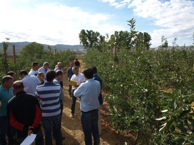 Agricultura muestra nuevas variedades de manzano de excelente calidad organoléptica y más precoces y productivas - 1, Foto 1