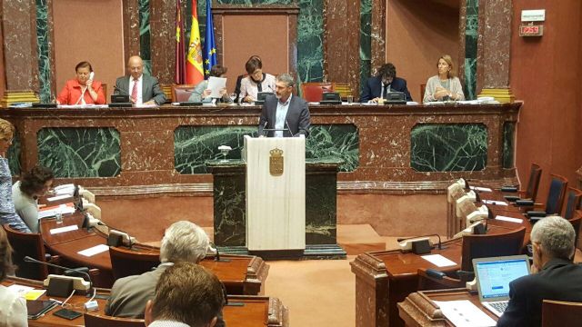 Partido Popular y Ciudadanos tumban la anulación de las pruebas de diagnóstico 2016 - 1, Foto 1