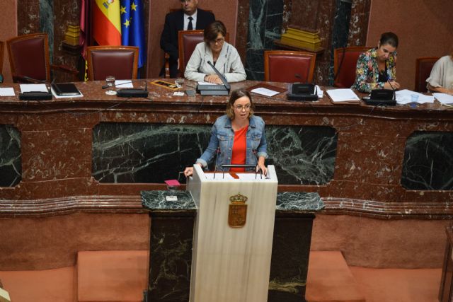 El PP consigue apoyo parlamentario para solicitar igual baremo a nivel nacional en la evaluación de discapacidad en niños con cáncer - 1, Foto 1