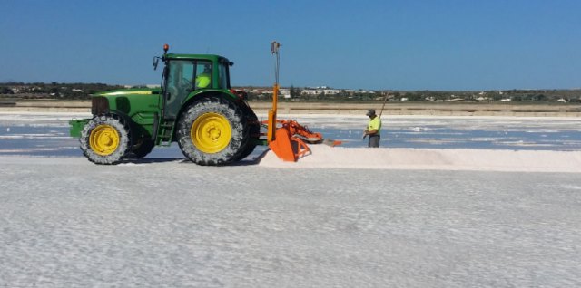 La sal marina gana mercado frente al cloro en el mantenimiento de piscinas - 1, Foto 1