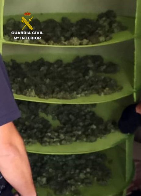 La Guardia Civil desmantela en Fortuna un grupo dedicado al cultivo ilícito de marihuana - 2, Foto 2